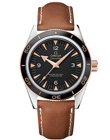 Seamaster / 41mm