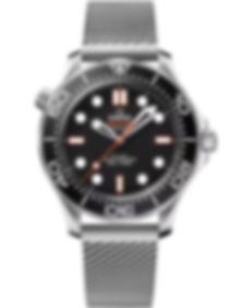Seamaster Diver 300M / 42mm