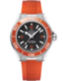 Seamaster Planet Ocean 600M / 42mm