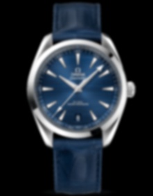 Seamaster Aqua Terra 150M / 41mm