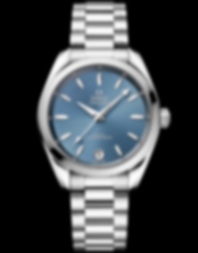 Seamaster Aqua Terra / 34mm