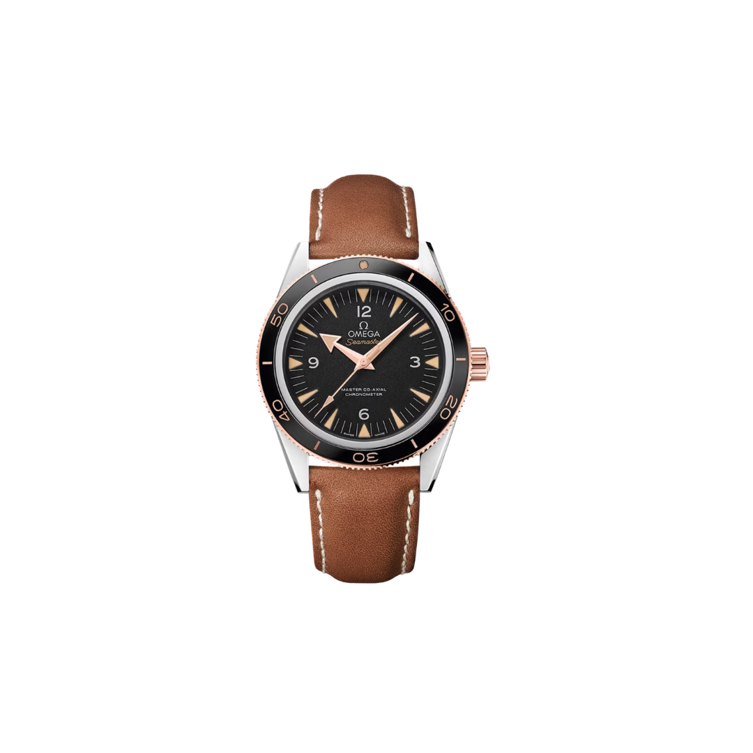 Men's watch / unisex  OMEGA, Seamaster / 41mm, SKU: 233.22.41.21.01.002 | watchphilosophy.co.uk