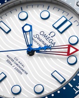 Men's watch / unisex  OMEGA, Seamaster Diver 300M America’s Cup / 42mm, SKU: 210.32.42.20.04.002 | watchphilosophy.co.uk