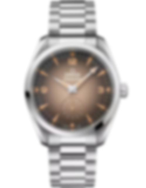 Men's watch / unisex OMEGA, Seamaster Railmaster / 38mm, SKU: 235.10.38.20.13.001 | watchphilosophy.co.uk