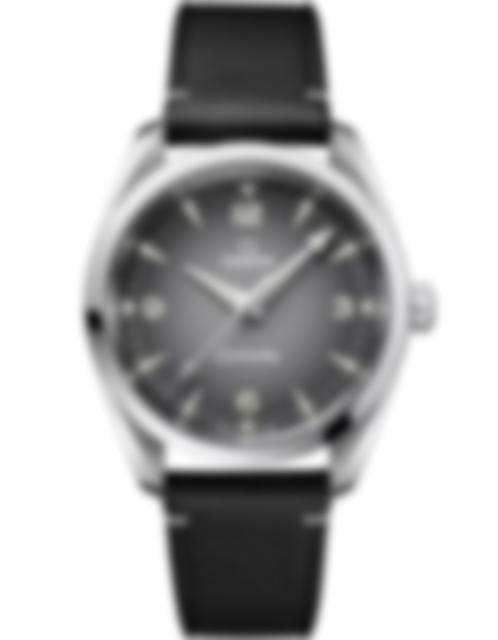 Men's watch / unisex OMEGA, Seamaster Railmaster / 38mm, SKU: 235.12.38.20.06.001 | watchphilosophy.co.uk