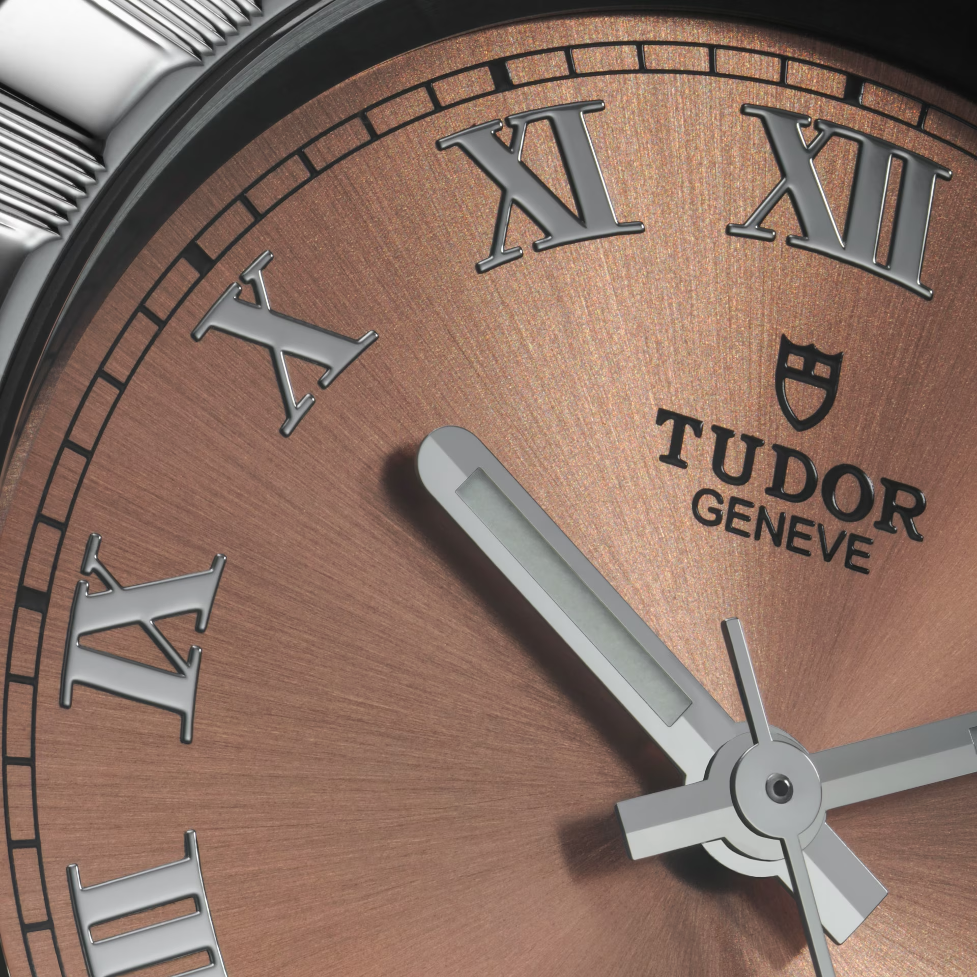 Ladies' watch  TUDOR, Tudor Royal / 34mm, SKU: M28400-0009 | watchphilosophy.co.uk