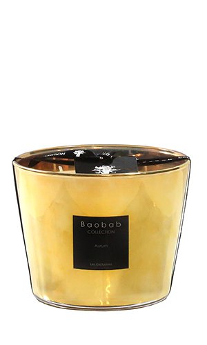  BAOBAB COLLECTION, Aurum Max 10, SKU: MAX10AU | watchphilosophy.co.uk