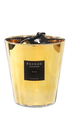  BAOBAB COLLECTION, Aurum Max 16, SKU: MAX16AU | watchphilosophy.co.uk