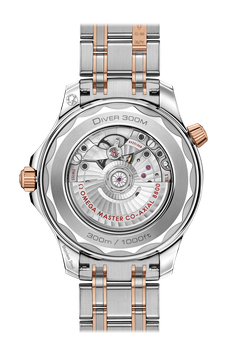 Men's watch / unisex  OMEGA, Diver 300m Co Axial Master Chronometer / 42mm, SKU: 210.20.42.20.03.002 | watchphilosophy.co.uk
